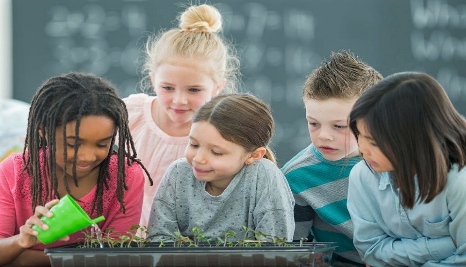Role Of Teachers In Promoting The Social And Emotional Health Of ...