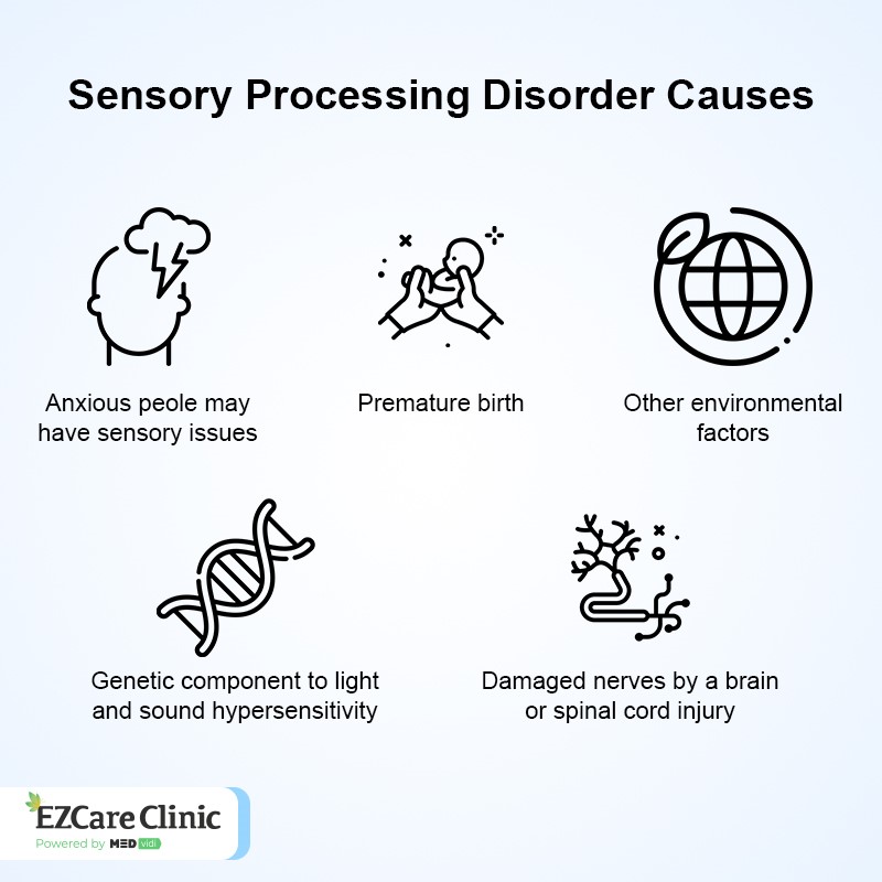 Sensory processing disorder causes