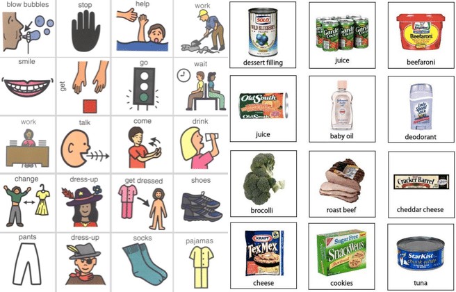 Example of the Picture Exchange Communication System