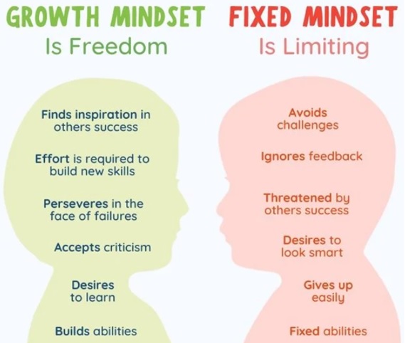 Build Mindset