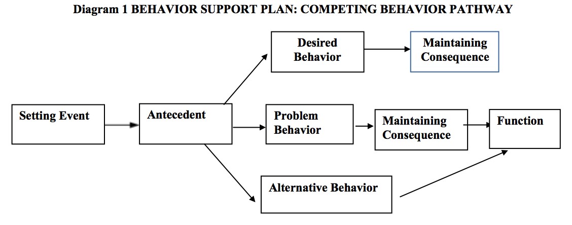 Behavior Support Plan