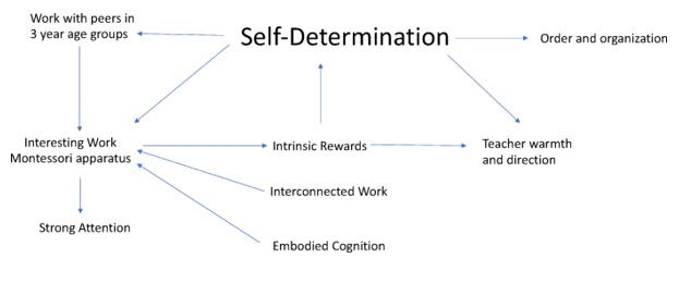 Self-Determination