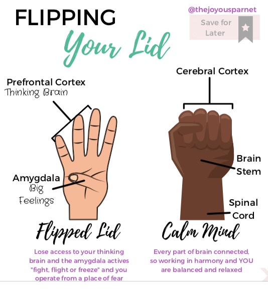 Flipping a Lid