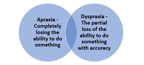 Apraxia and Dyspraxia