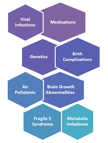 causes of autism