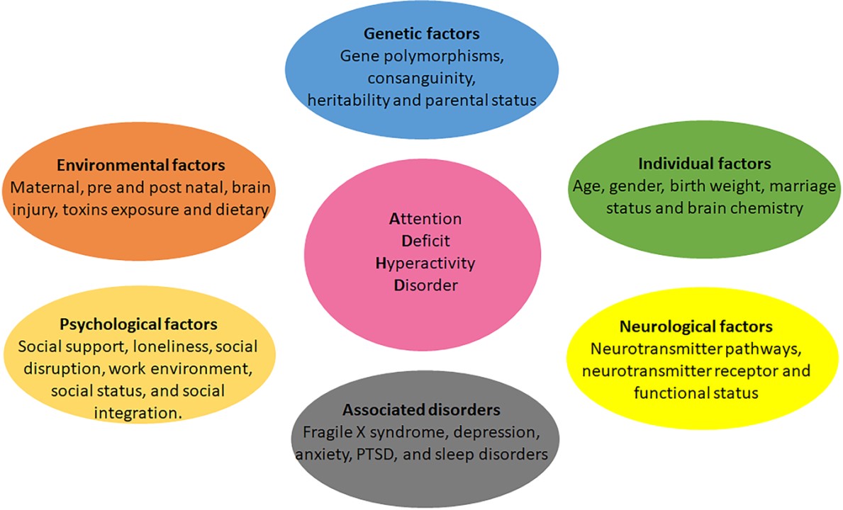 Attention Deficit Hyperactivity Disorder