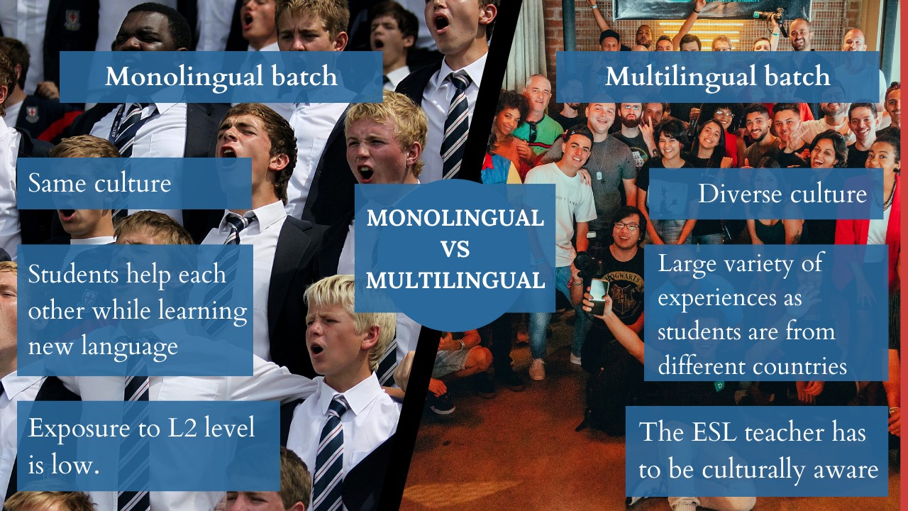 Monolingual Vs Multilingual