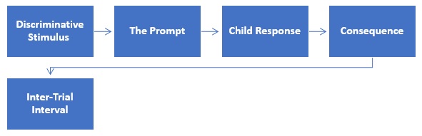 Training Steps of Discrete Trial Training