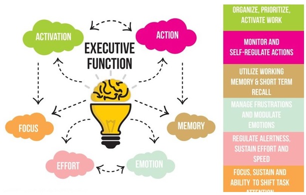 Executive Function