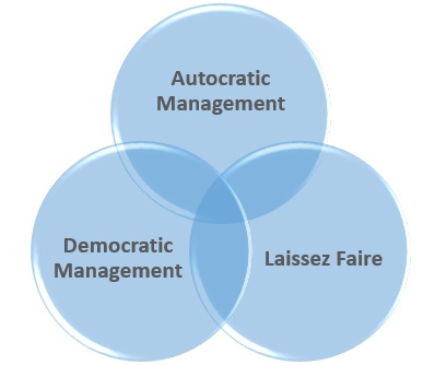 primary educational management styles