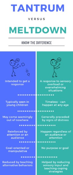 Tantrum Vs Meltdown