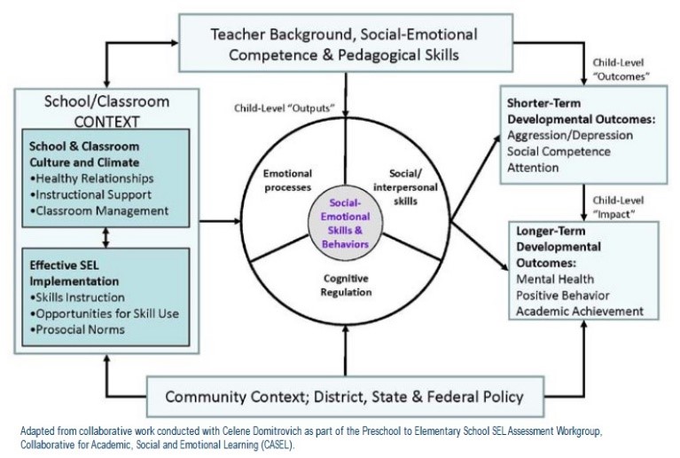 Organizing Framework for SEL