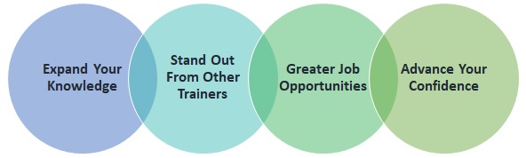 why you should enrol in a professional diploma in train the trainer course online