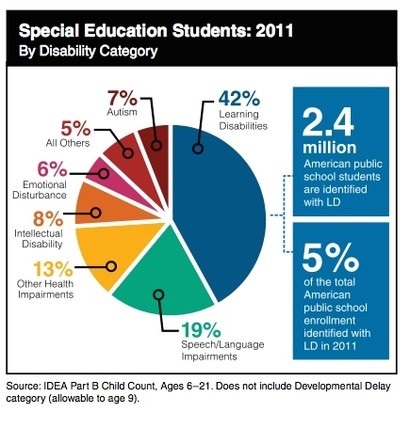 Disability Category (2011 Statistic)