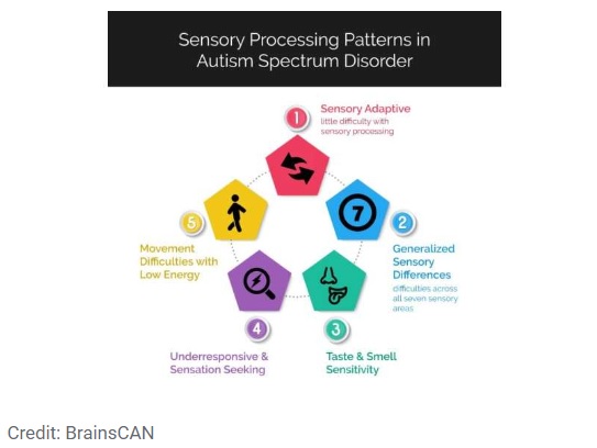 Sensory Processing Patterns in Autism Spectrum Disorder