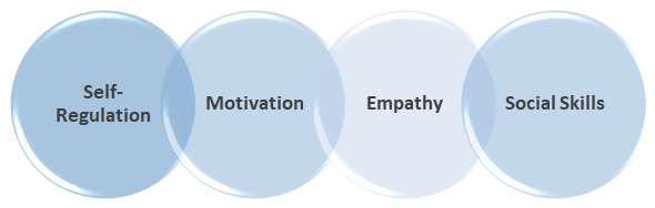 Categories of Emotional Intelligence for Trainers