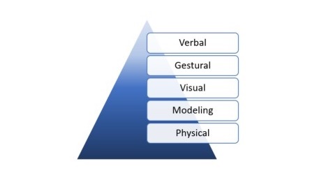 common depiction of the prompt hierarchy