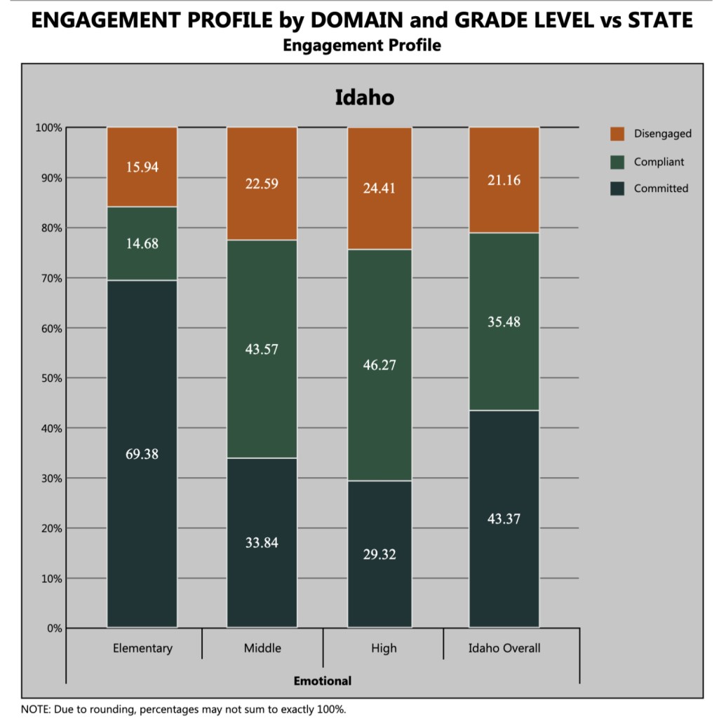 Engagement Profile