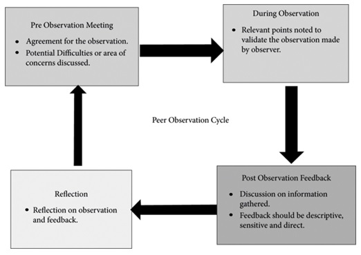 Peer Observation Cycle