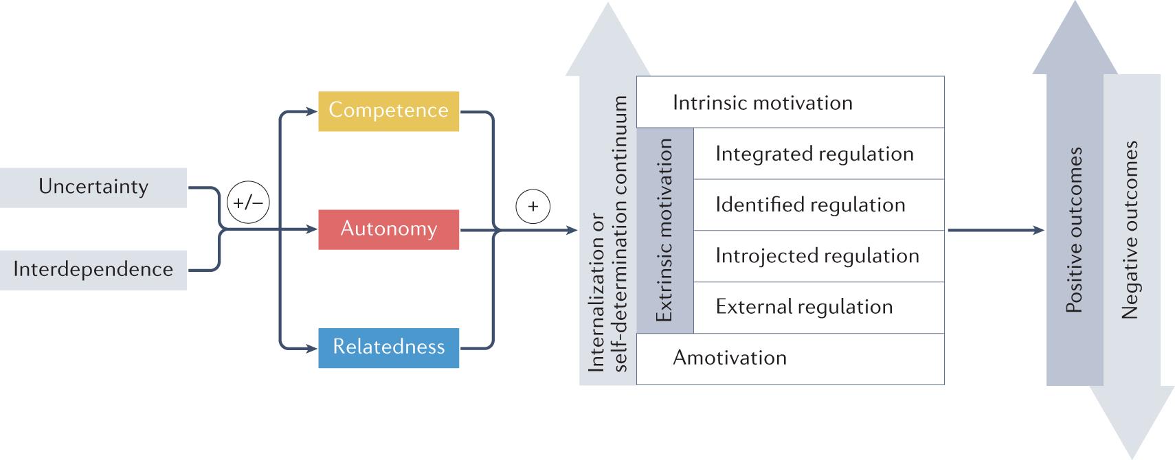 Self-determination theory