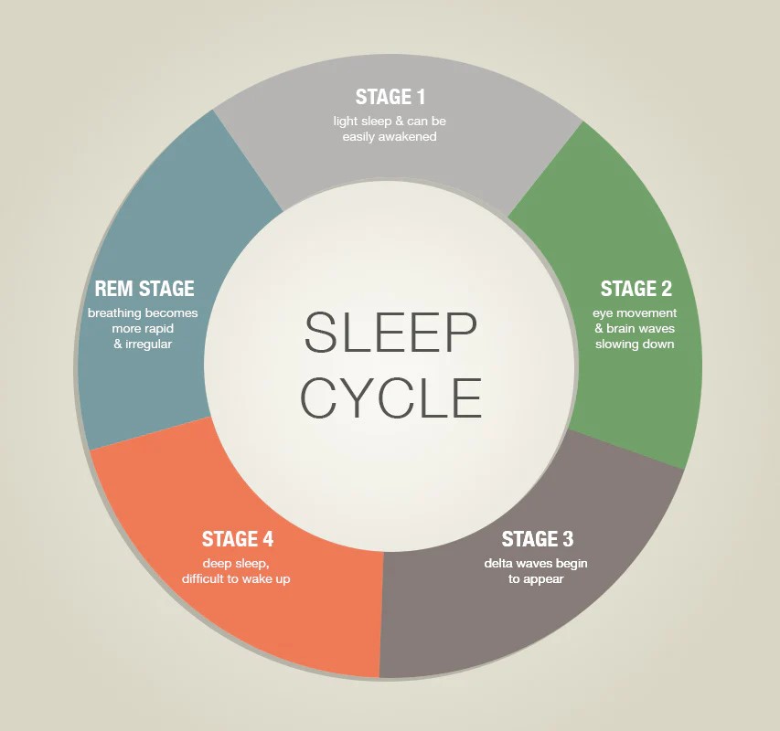 Sleep Cycle