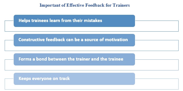 Important of Effective Feedback for Trainers