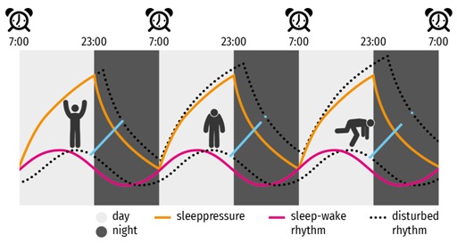 Behind Sleep-ADHD Connection