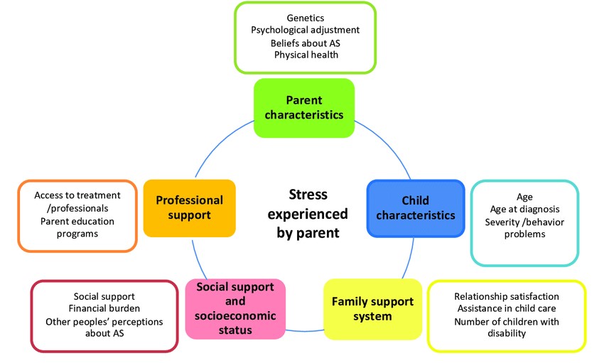 Stress factors in parents of children on the autism spectrum