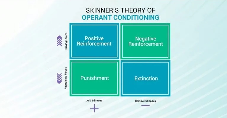 Operant Conditioning in Simple Terms