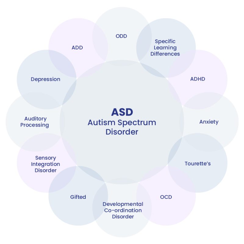 Disorders That Can Be Diagnosed As Autism