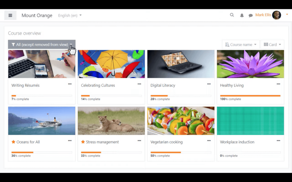 Moodle LMS