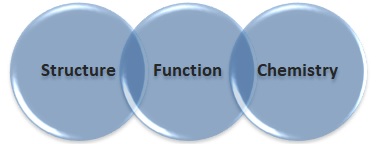 ADHD brain divided into three areas