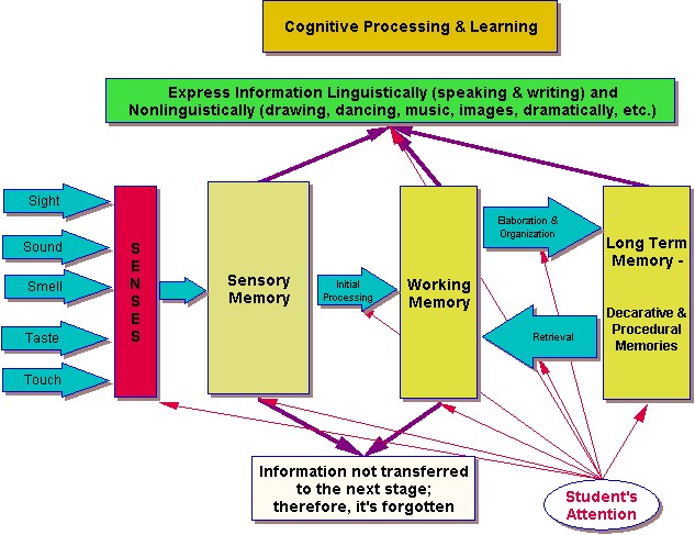 Special Education Implementation