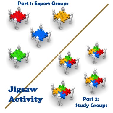 Expert Groups